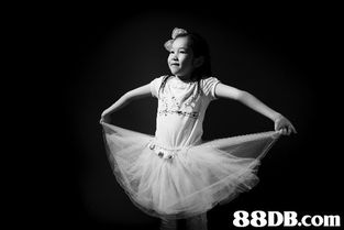 孕產攝影藝術 捕捉生命孕育之美的視覺日記